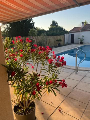 Les Voyages De Louison Bed & Breakfast Lavardac Eksteriør bilde